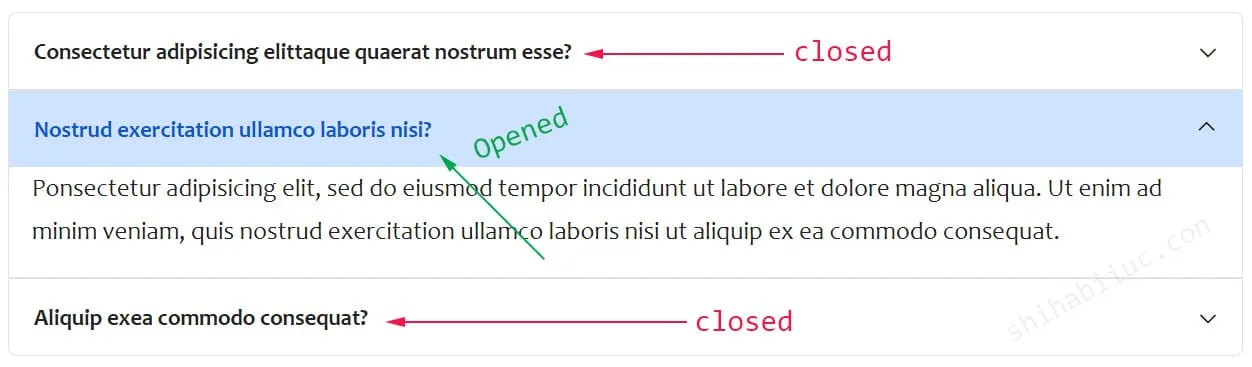 An accordion on a website where one item is opened and other items are closed
