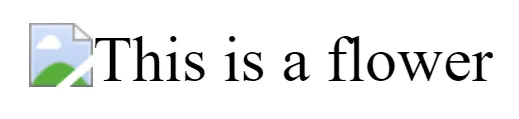 alt text when the image is broken