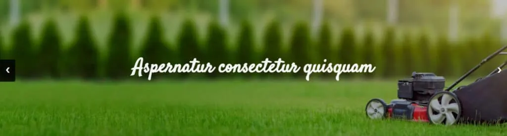 background slider with image overlay color and text