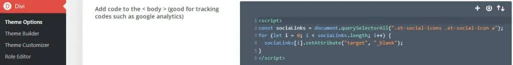 Divi theme options