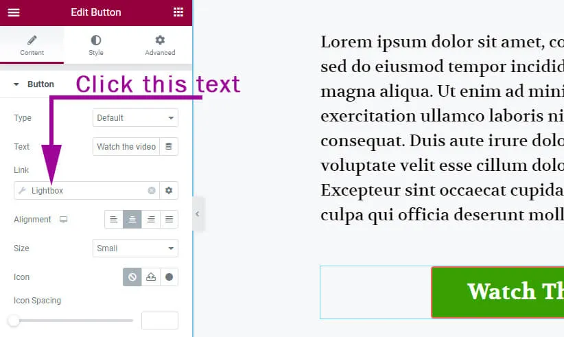 Elementor dynamic tag