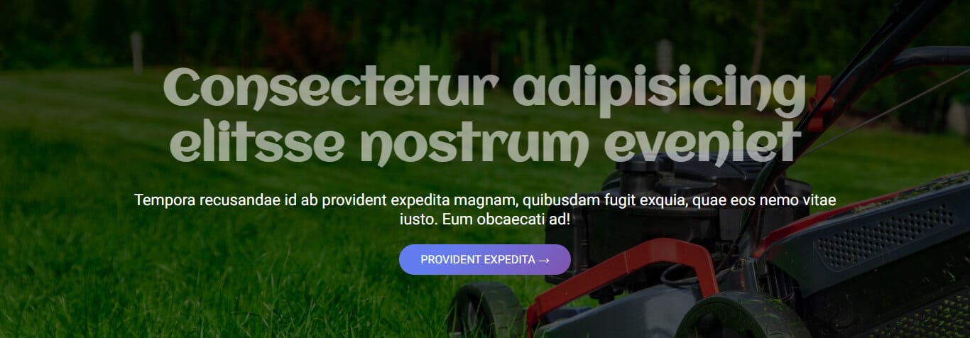 Preview of the banner