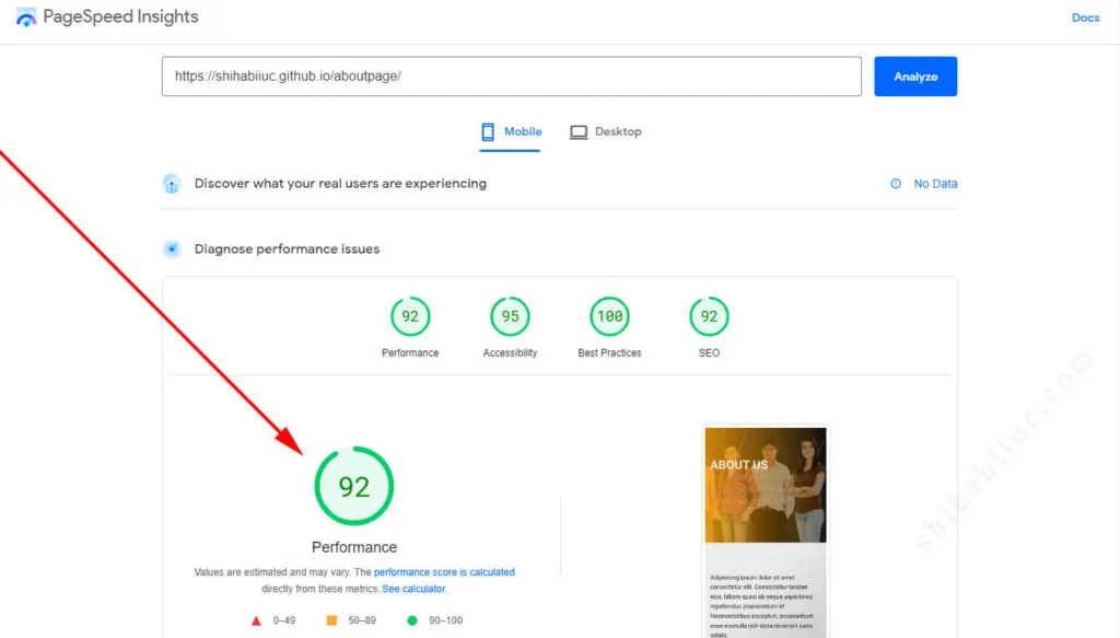 Web page performance report on mobile by PageSpeed Insight