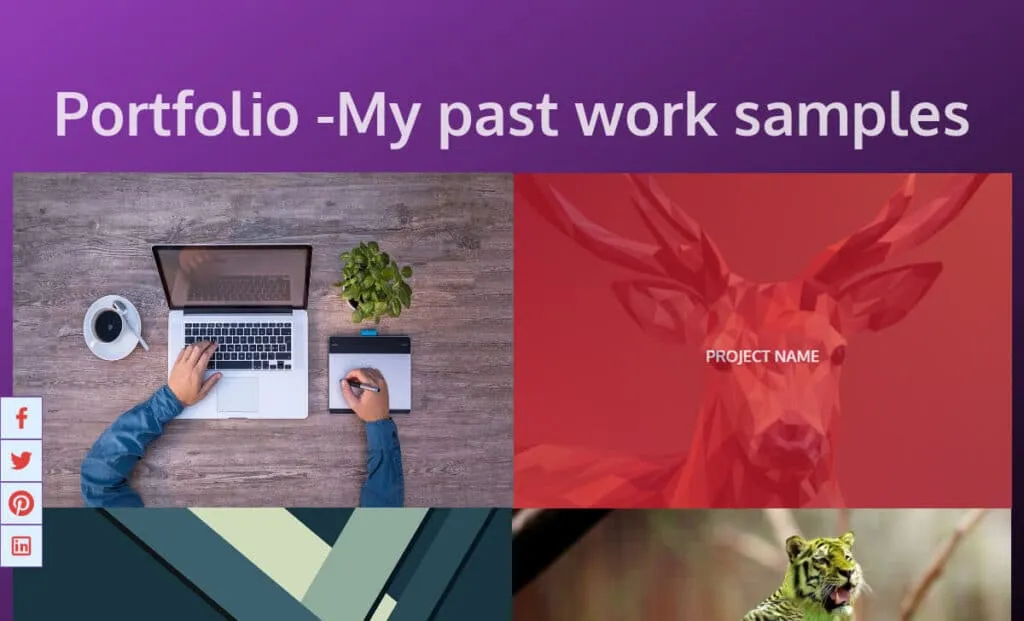 Portfolio section