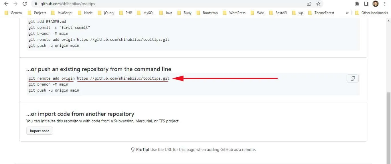 Remote Git repository URL on GitHub