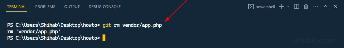 remove a file from git local repository