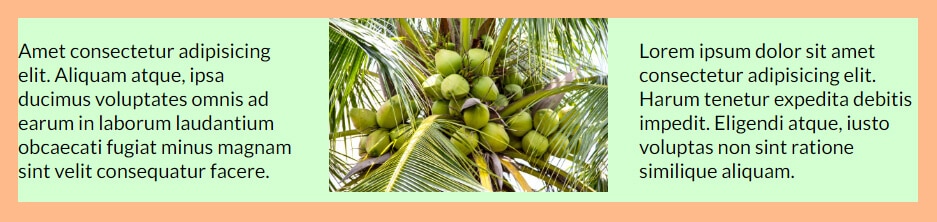 side by side image and paragraphs