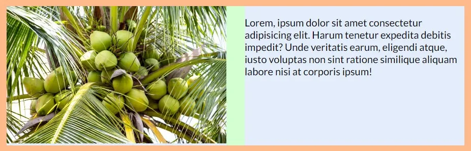Side by side text and image using flexbox CSS