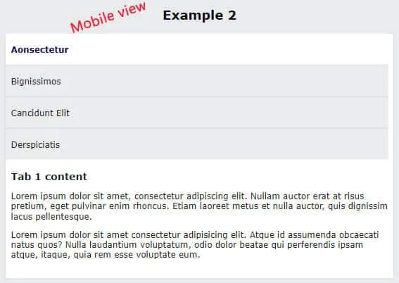 Tab example-2 mobile view (layout)