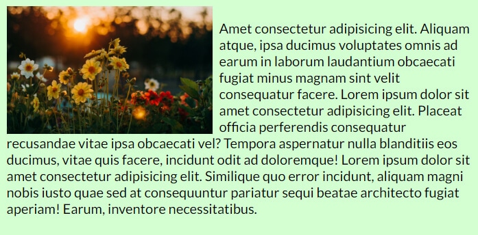 text and pictures on the same line