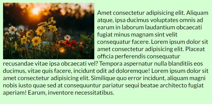 Text and picture on the same line