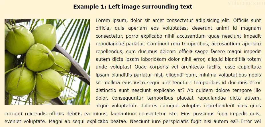 Text wrap around image in HTML