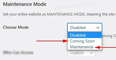 Two different maintenance modes