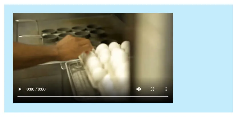 Video inserted in HTML
