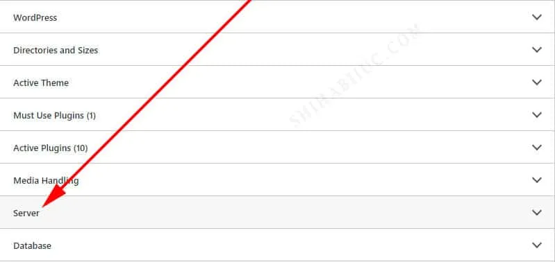 WordPress admin dashboard - Tools - Site Health - Info tab - Server